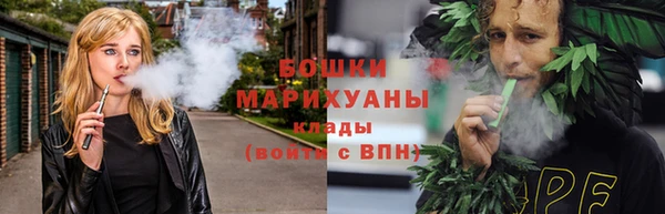 гашик Мегион