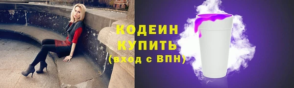 гашик Мегион