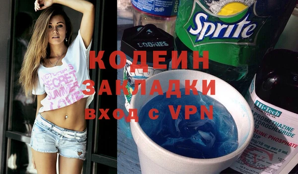 гашик Мегион
