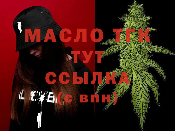 гашик Мегион