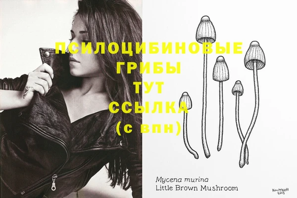 гашик Мегион