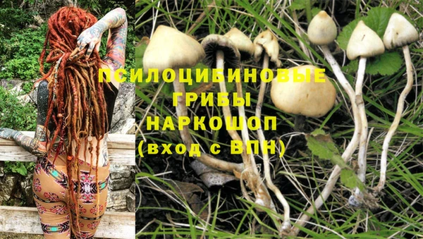 мдма Медногорск