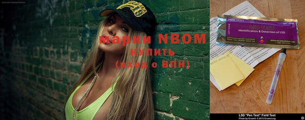 гашик Мегион