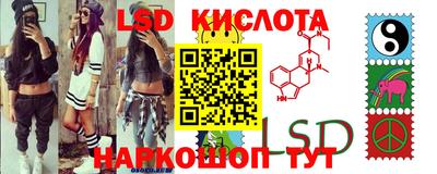гидропоника Гатчина
