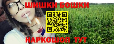 гидропоника Гатчина