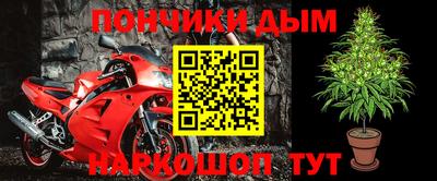 гидропоника Гатчина