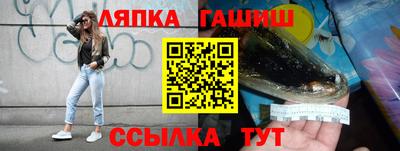 гидропоника Гатчина