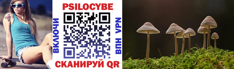 Псилоцибиновые грибы MAGIC MUSHROOMS Урюпинск