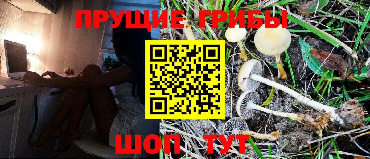 Галлюциногенные грибы прущие грибы  Урюпинск 