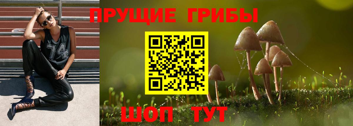 Галлюциногенные грибы мицелий  Вход с VPN  Урюпинск 